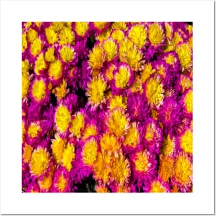 Bright Pink Yellow Flowers Posters and Art